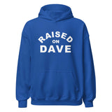 Raised On Dave - Unisex Soft Blend Hoodie