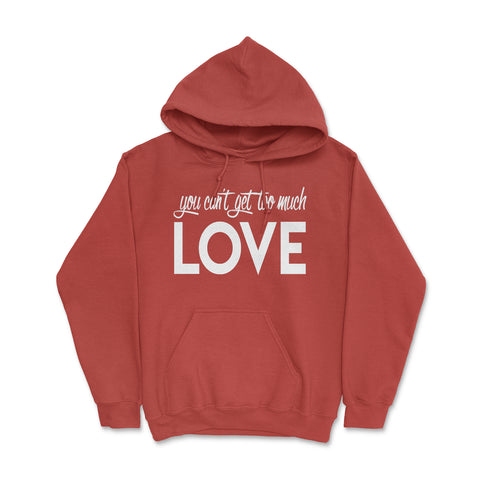 Too Much - Soft Blend Hoodie